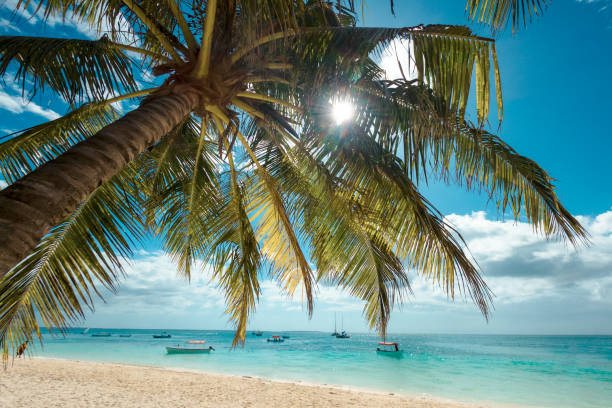 Zanzibar beach holiday