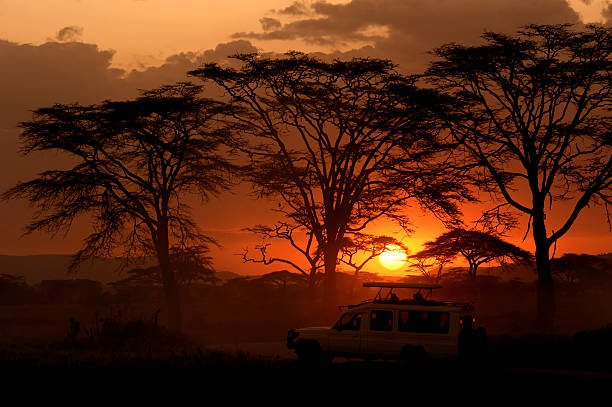 When to Book a Tanzania Safari
