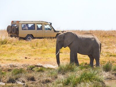 1 Day Arusha National Park Safari