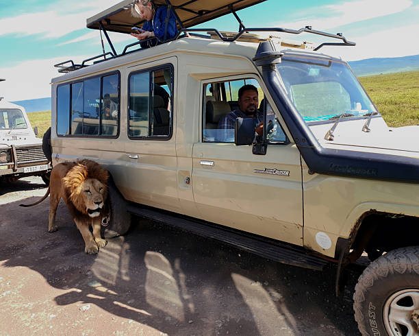 Private Tanzania Safaris, Kilimanjaro Climbs and Zanzibar Escapes